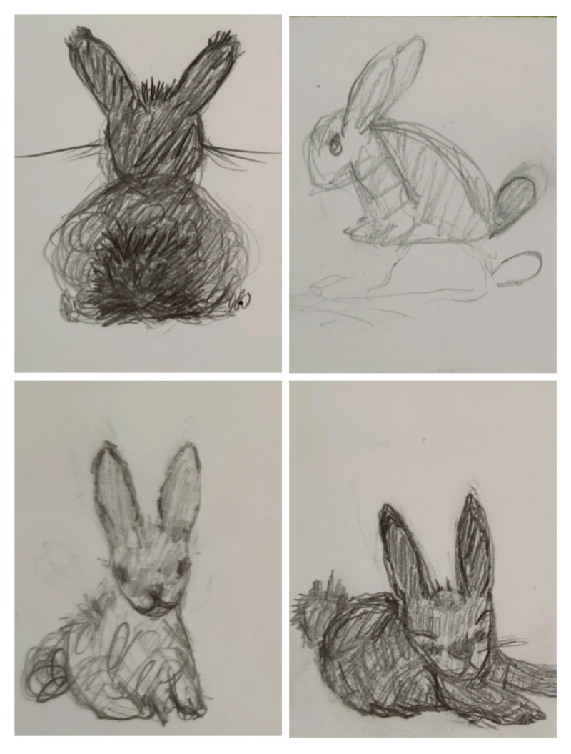 Hasen-Zeichnungen